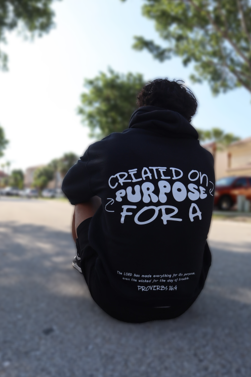 Created On Purpose Hoodie