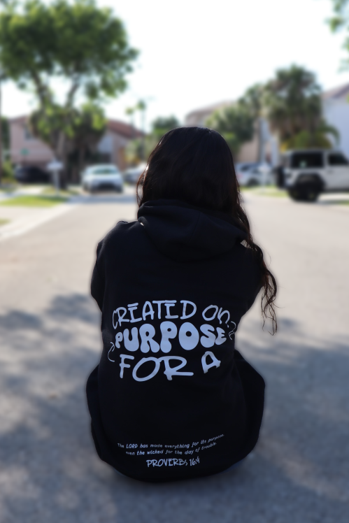 Created On Purpose Hoodie